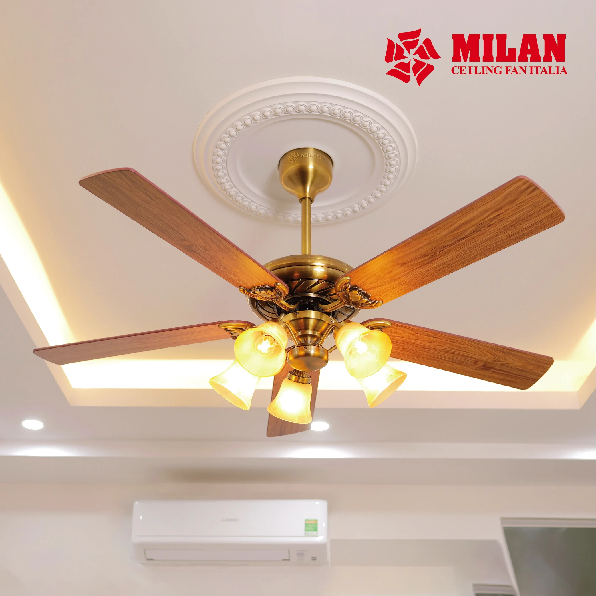 Quạt Trần Đèn Chùm 5 Cánh FY503 4 Quạt Trần Đèn Chùm 5 Cánh FY503 - Ảnh 2