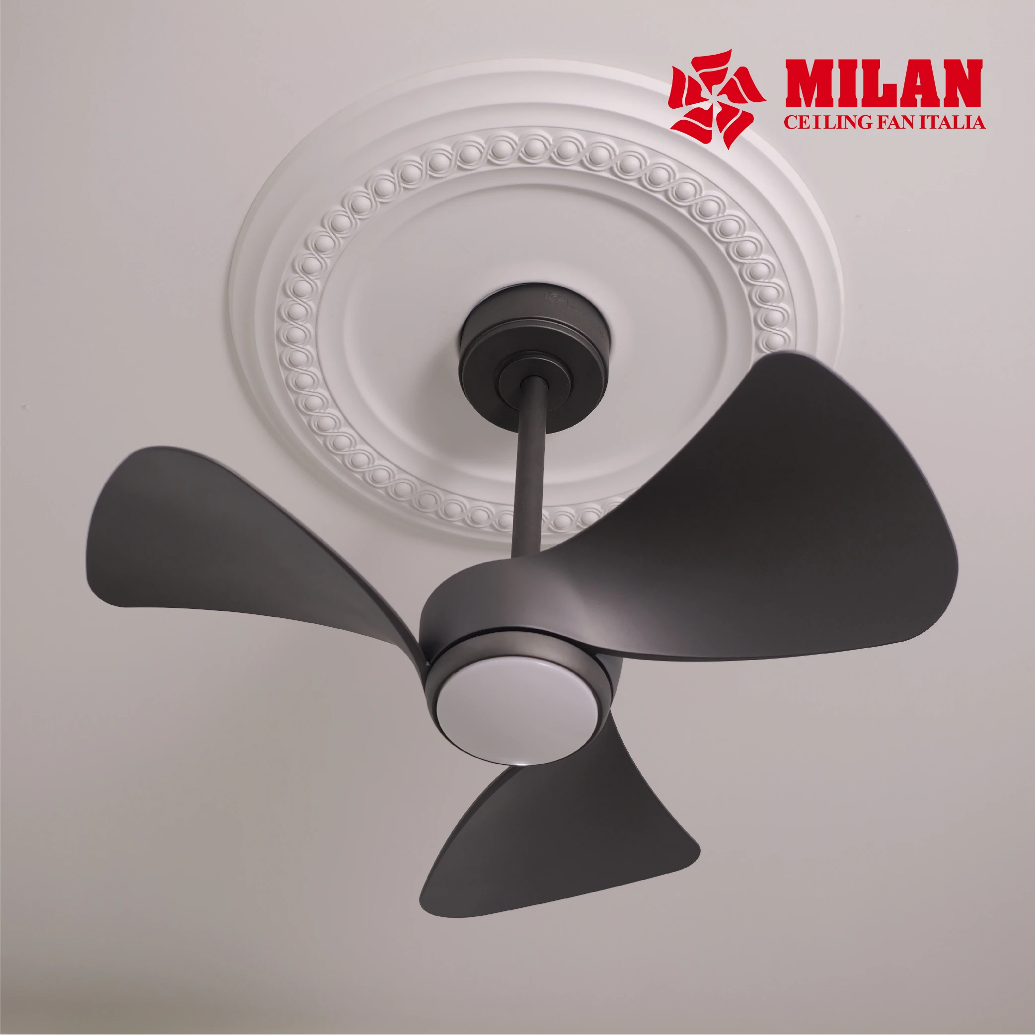 Quạt Trần Mini FY526 - Đen - Đồng cát 5 Quạt Trần Mini FY526 - Đen - Đồng cát - Ảnh 4