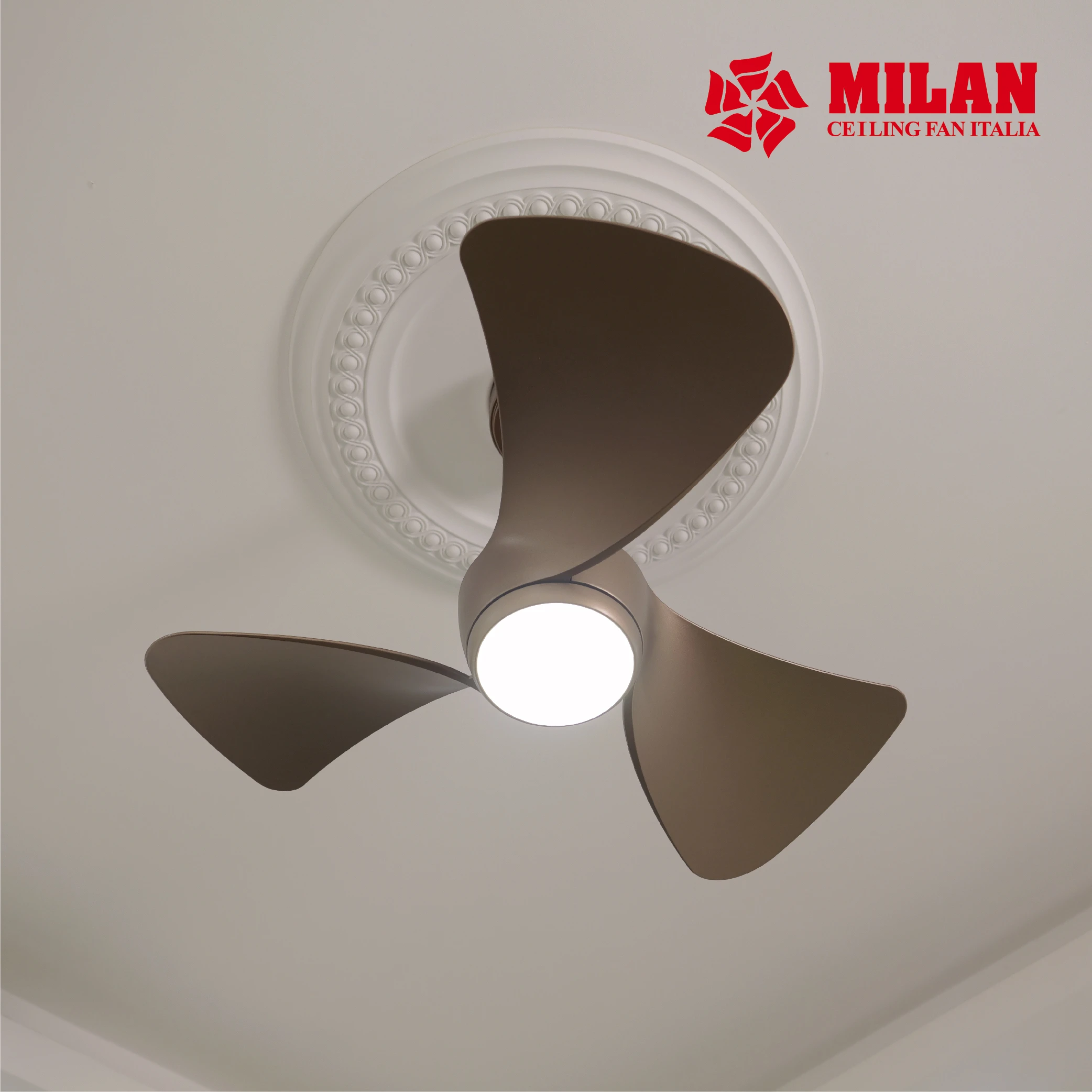 Quạt Trần Mini FY526 - Đen - Đồng cát 9 Quạt Trần Mini FY526 - Đen - Đồng cát - Ảnh 8