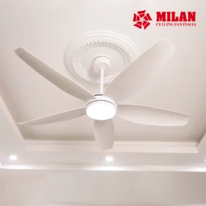 QUAT TRAN MILAN ANH WEB 19.3 19