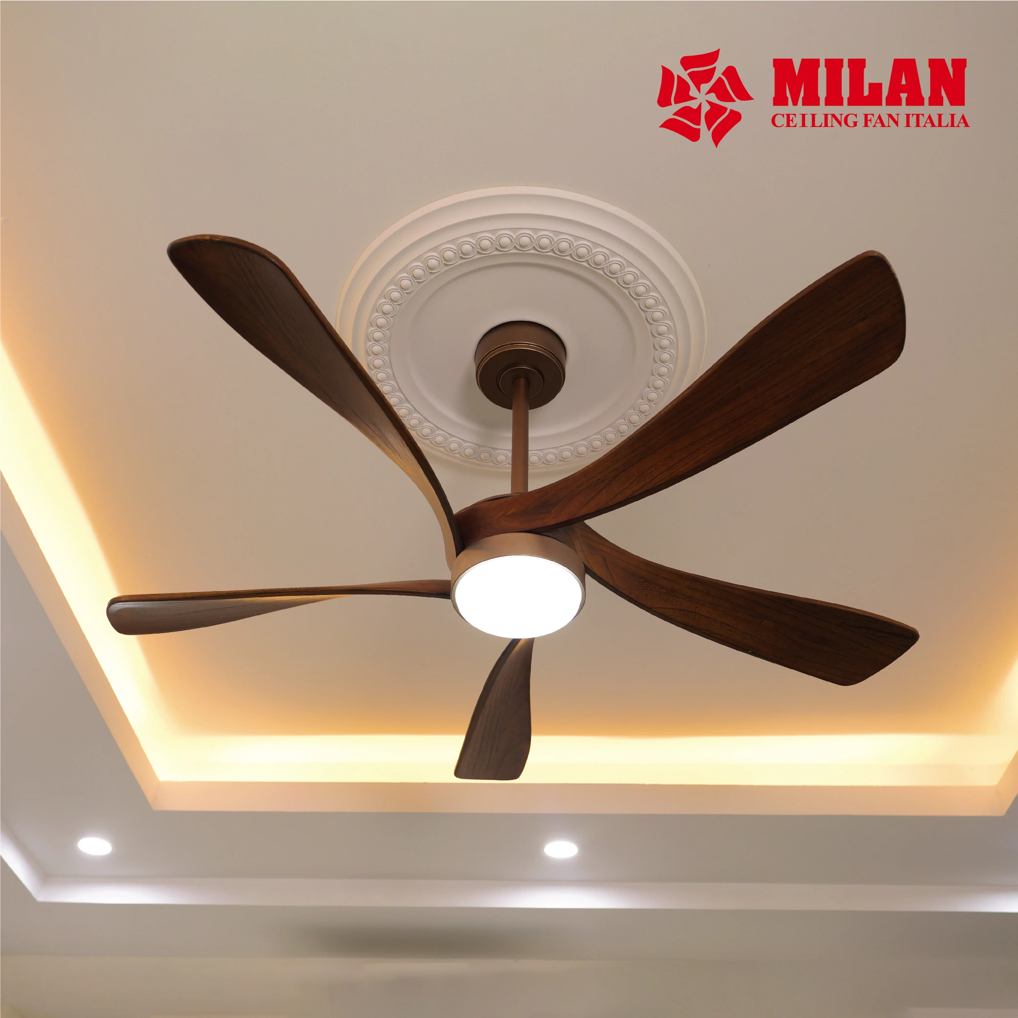 Quạt Trần Đèn 5 Cánh FY516 - OB 5 Quạt Trần Đèn 5 Cánh FY516 - OB - Ảnh 3