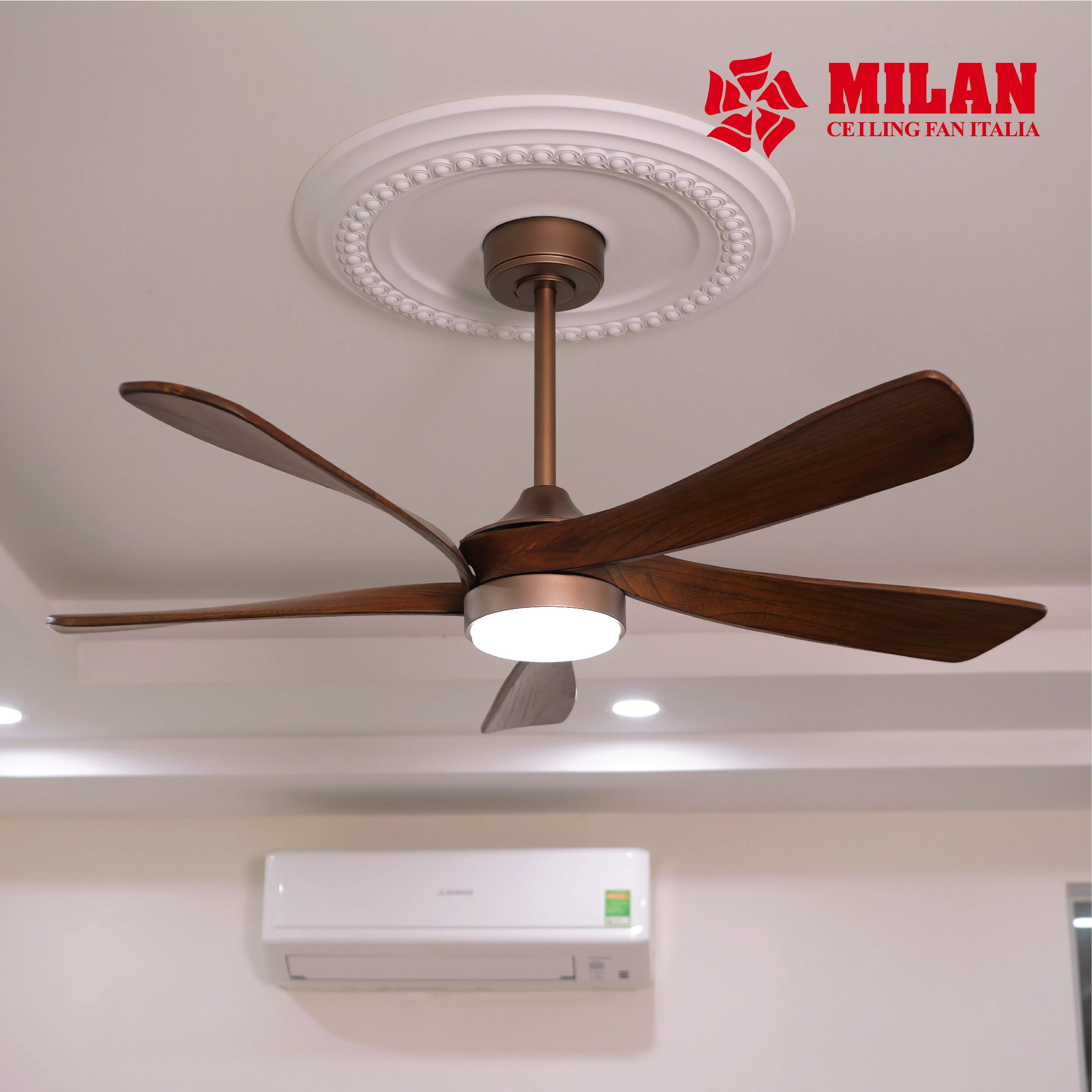 Quạt Trần Đèn 5 Cánh FY516 - OB 4 Quạt Trần Đèn 5 Cánh FY516 - OB - Ảnh 2