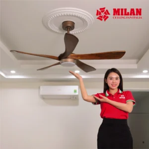 Quạt Trần Đèn 5 Cánh FY516 - OB 23 QUAT TRAN MILAN ANH WEB 19.3 39